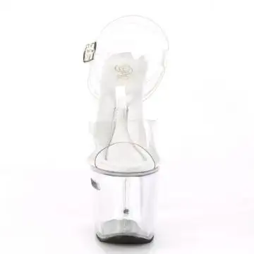 TIPJAR-708RAD TIP708RAD/C/M Průhledné sexy boty s kasičkou na peníze v platformě Pleaser - zepředu